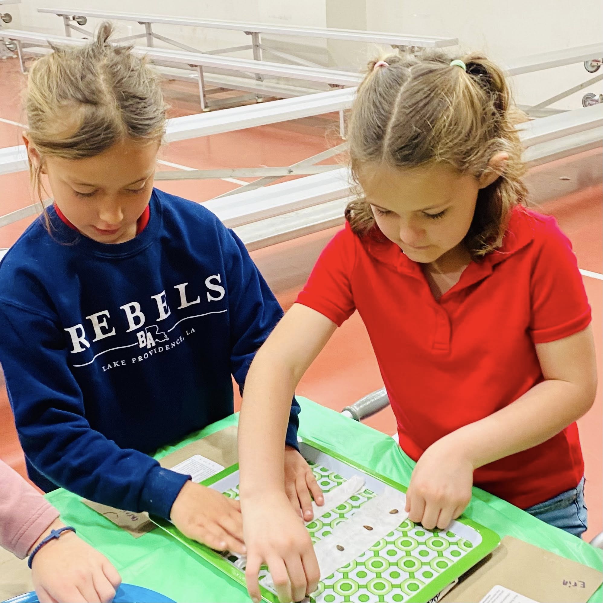 Two girls putting seeds on a strip of paper.